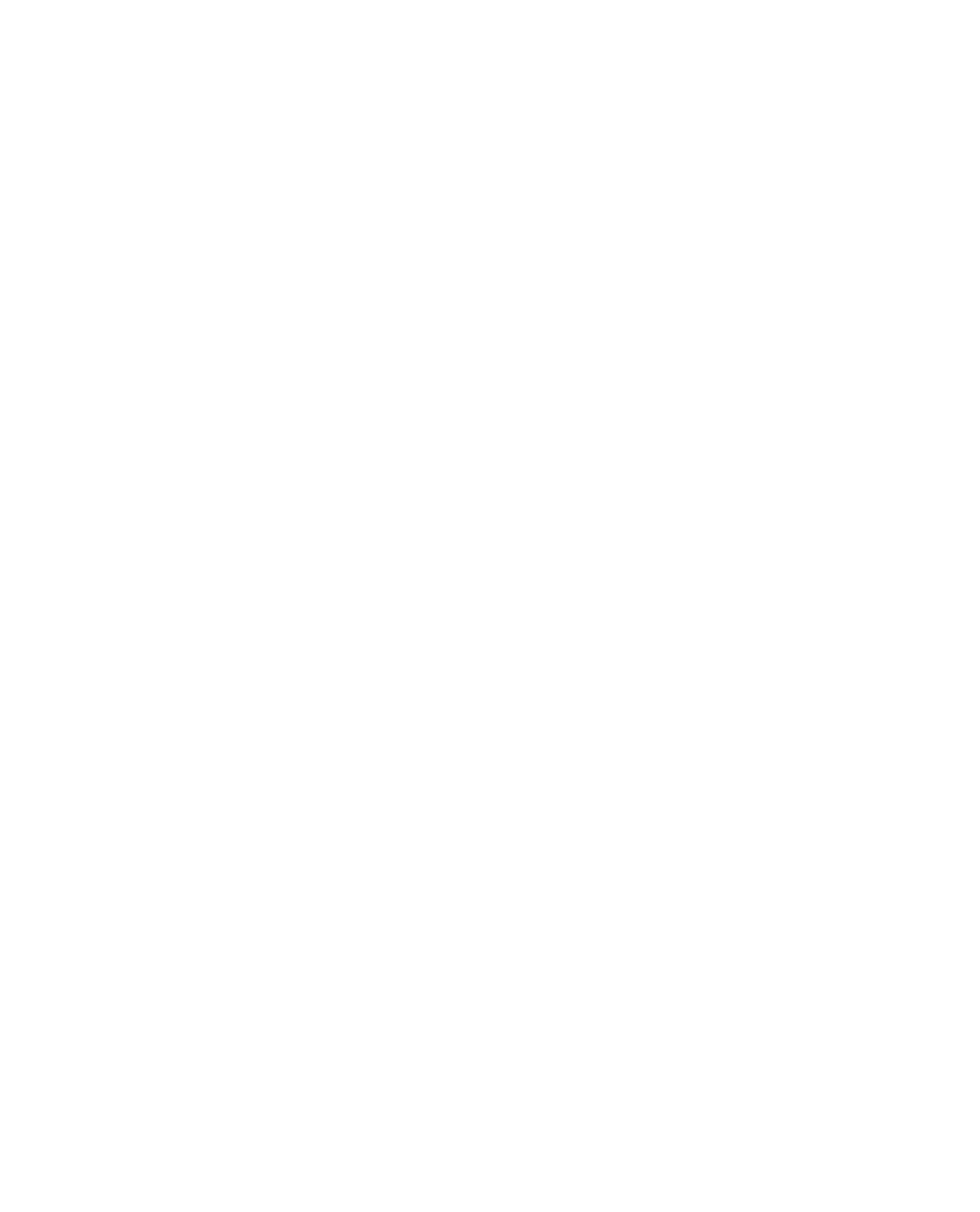 ZERA Logo
